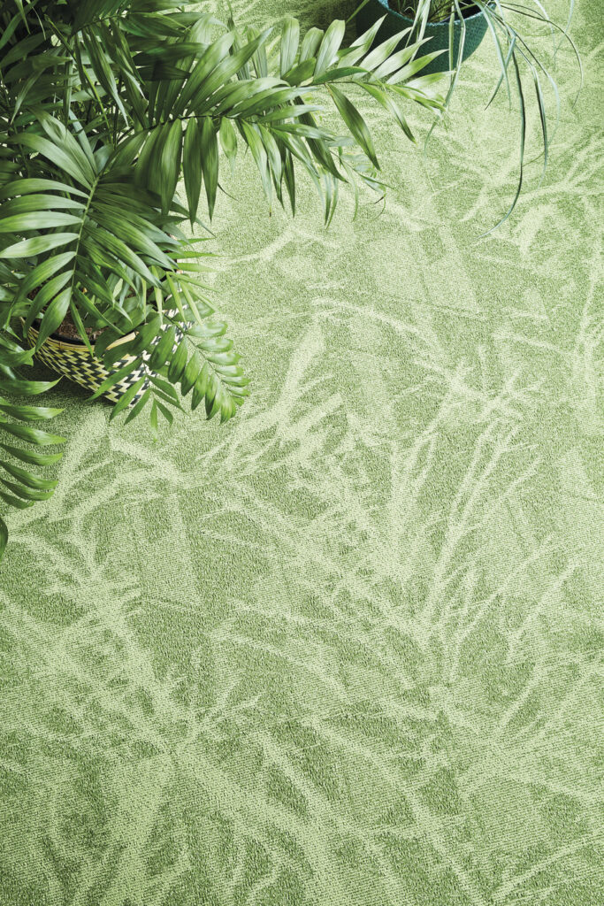 72_dpi_4A1V_CloseUp_carpet_Forest_240_GREEN_3