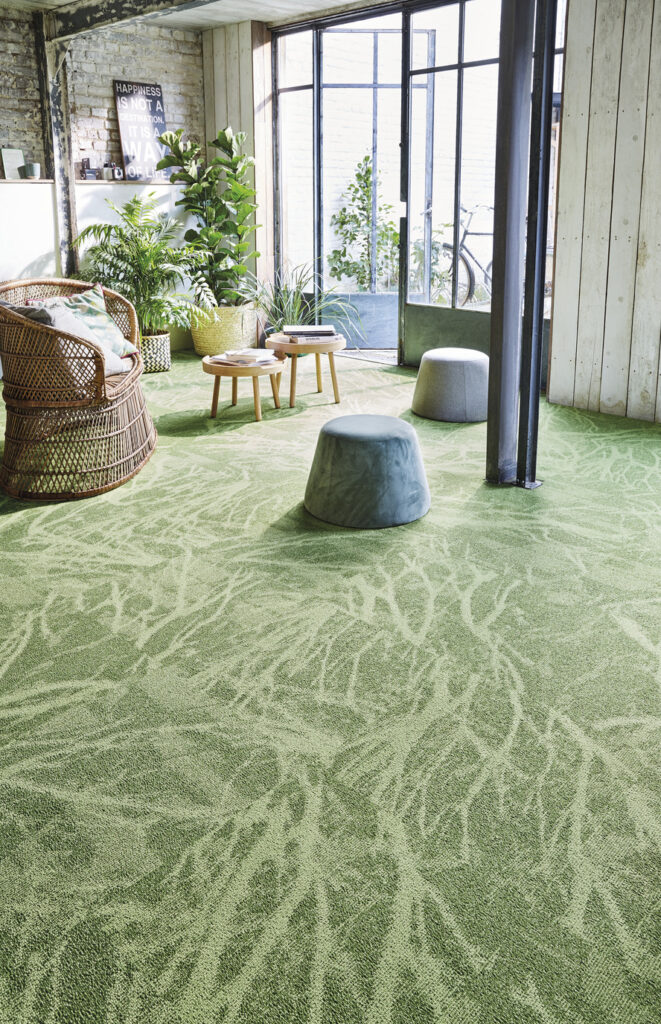 72_dpi_4A1V_RoomSet_carpet_Forest_240_GREEN_1